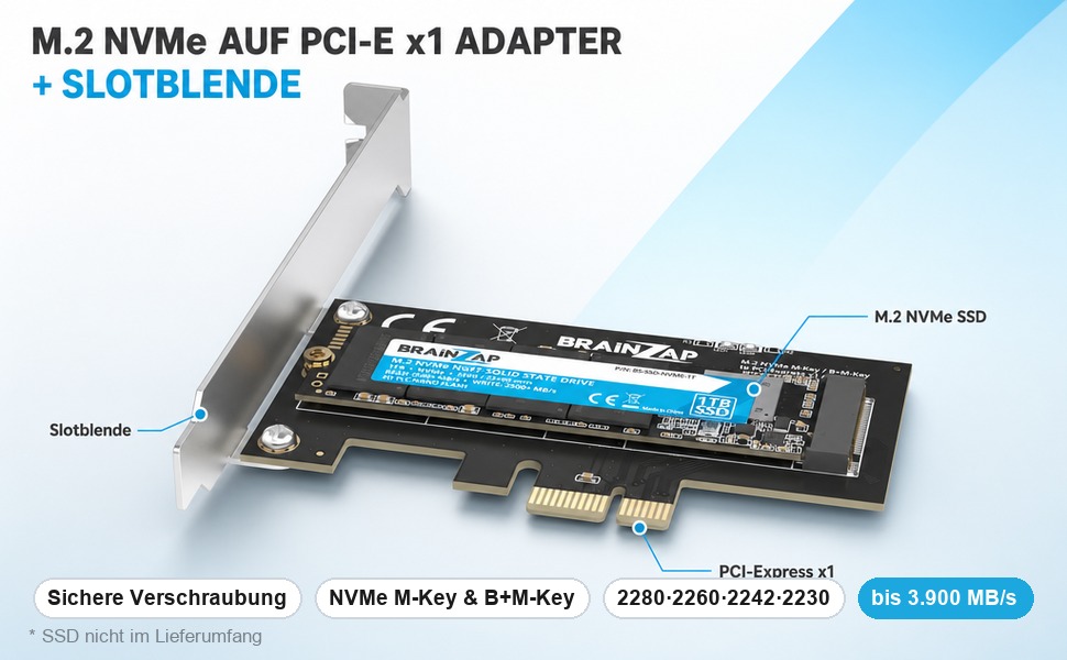 BRAINZAP M.2 NVMe auf PCI-Express x1 Adapterkarte mit Slotblende und eingebauter SSD