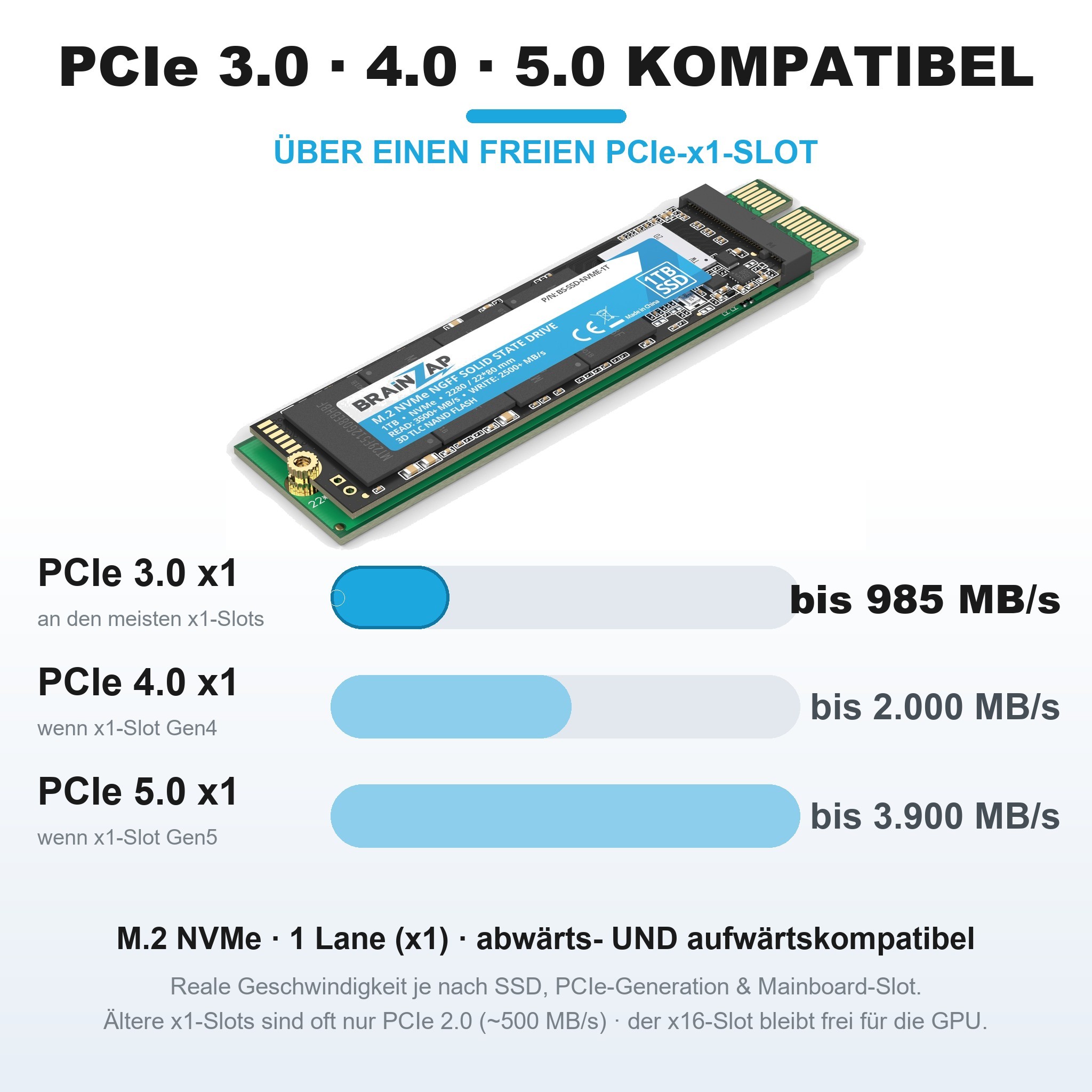 BRAINZAP adapter nvme x1