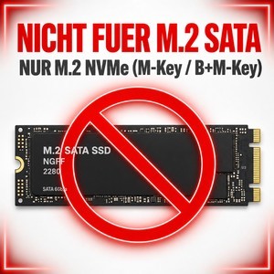 BRAINZAP adapter nvme x1