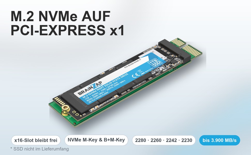 BRAINZAP M.2 NVMe auf PCI-Express x1 Adapterkarte mit eingebauter SSD