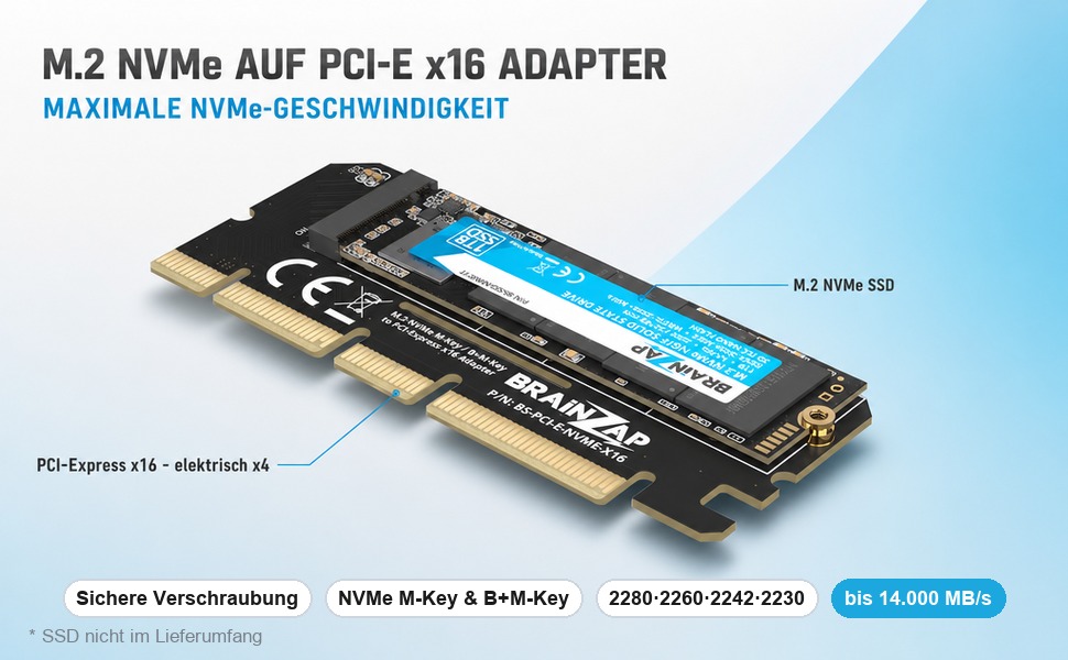 BRAINZAP M.2 NVMe auf PCI-Express x16 Adapterkarte mit eingebauter SSD