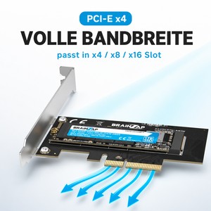 PCI-Express x4 – volle Bandbreite, passt in x4/x8/x16
