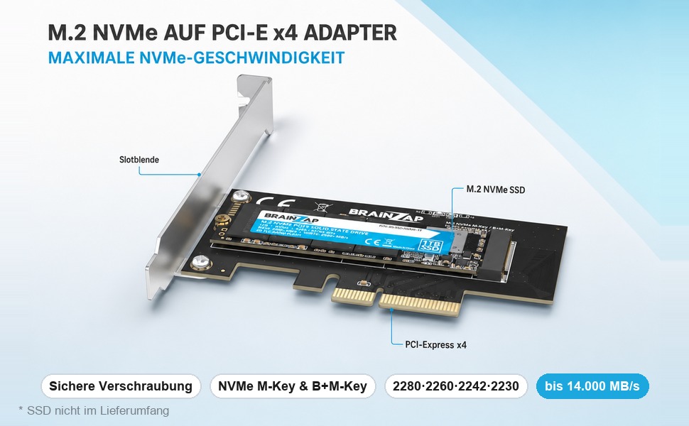 BRAINZAP M.2 NVMe auf PCI-Express x4 Adapterkarte mit Slotblende und eingebauter SSD