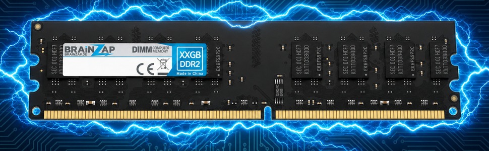 DDR2 DIMM Modul mit elektrischem Schutzfeld
