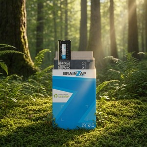 BRAINZAP Kartonverpackung im Wald