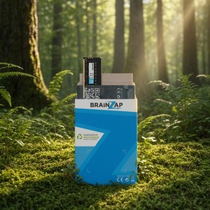 BRAINZAP Kartonverpackung im Wald