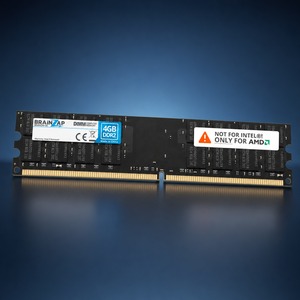 BRAINZAP 4GB DDR2 DIMM Speichermodul Produktansicht