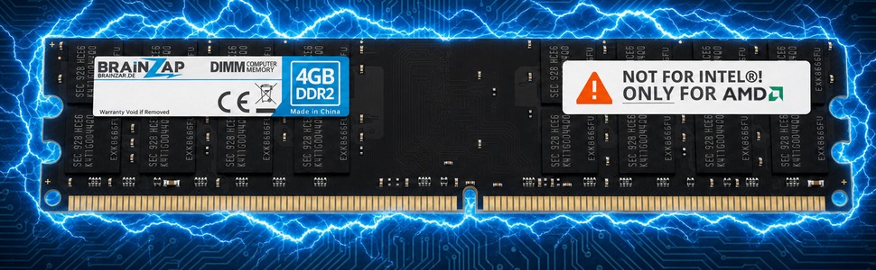 DDR2 DIMM Modul mit elektrischem Schutzfeld