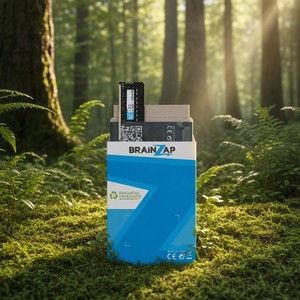 BRAINZAP Kartonverpackung im Wald