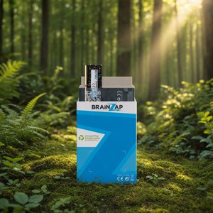 BRAINZAP Kartonverpackung im Wald