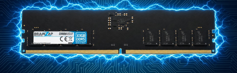DDR5 DIMM Modul mit elektrischem Schutzfeld